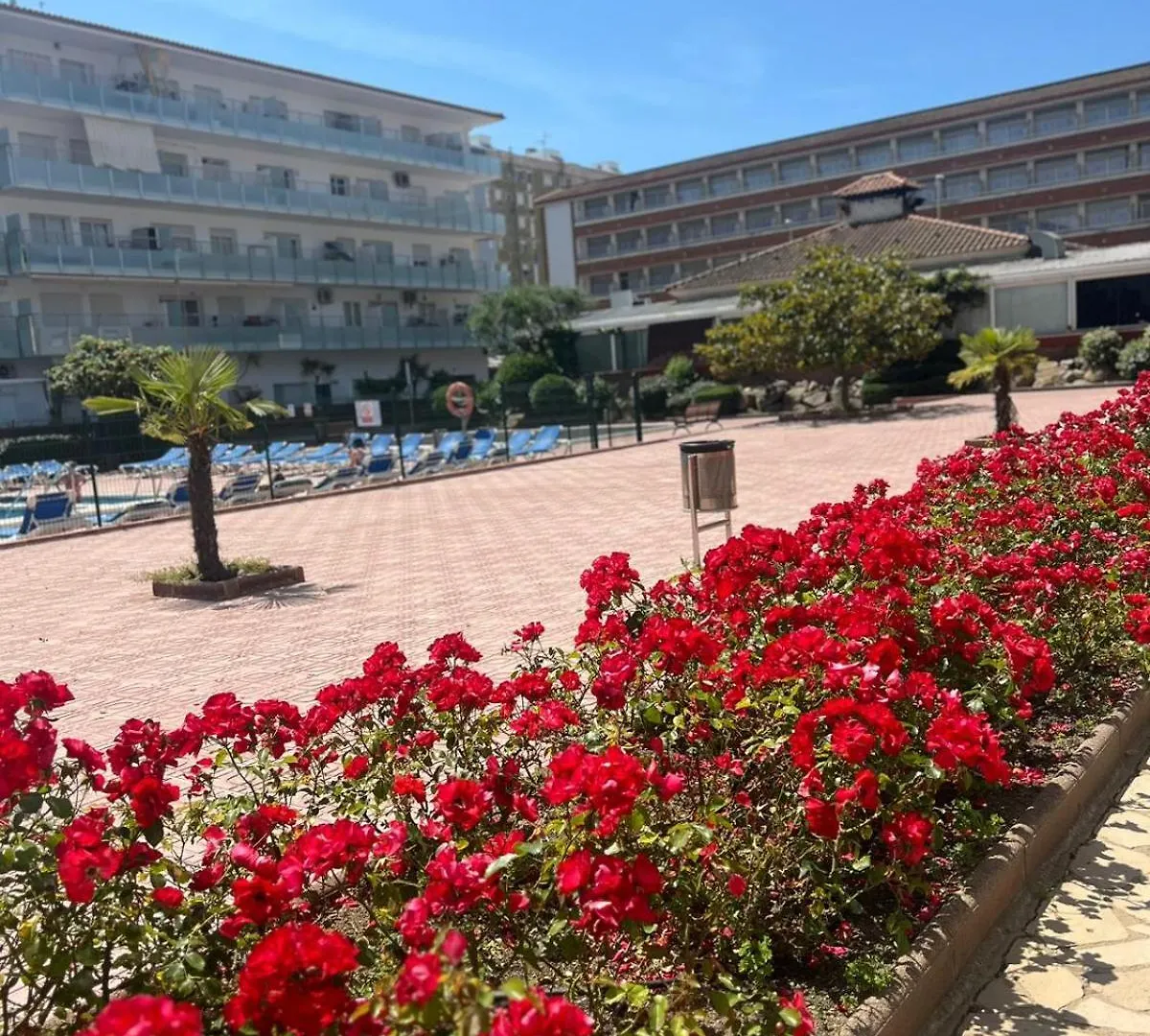 Apcostas Els Pins Lotus Apartment Blanes