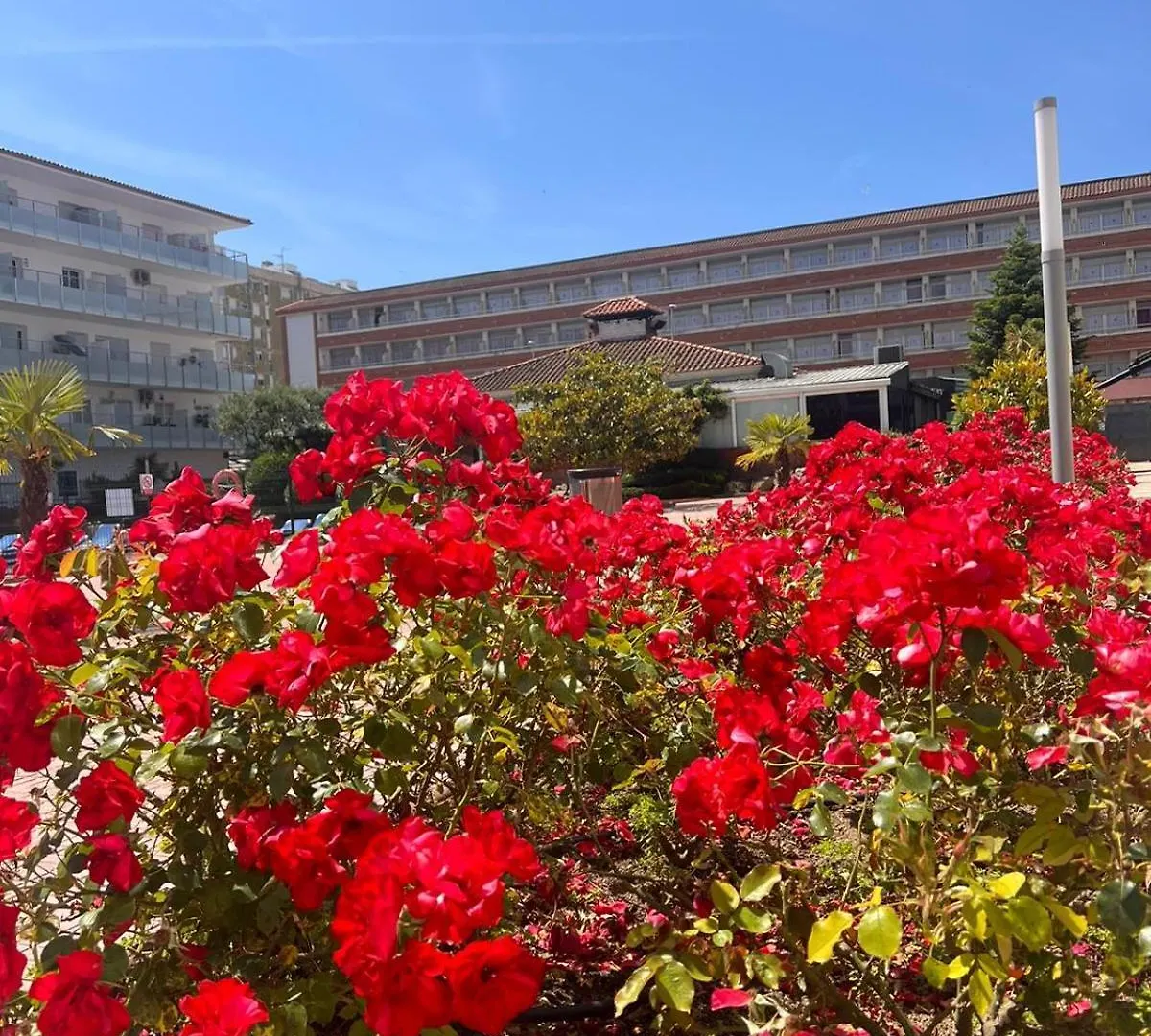 Apcostas Els Pins Lotus Apartment Blanes